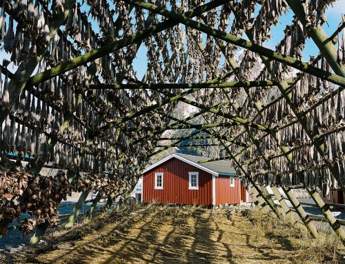 Norway: Habitat
