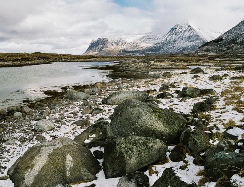 Norway: Tundra