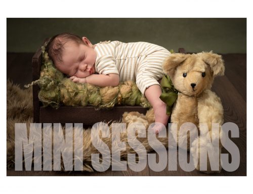 Newborn Portraits Leeds: Summer Mini Sessions